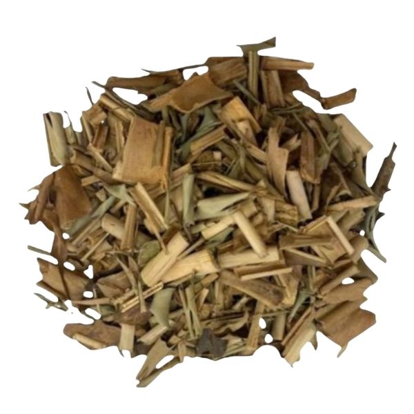 CAPIM COL�NIA - (PANICUM MAXIMUM)